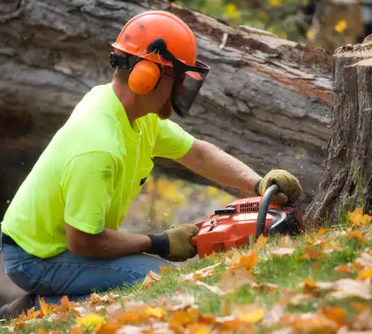 tree services Mooreville